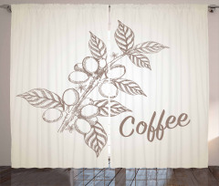 Sketch Style Coffee Curtain