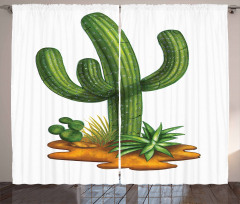 Arid Climate Saguaro Curtain