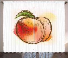 Fresh Fruit Sketch Art Curtain