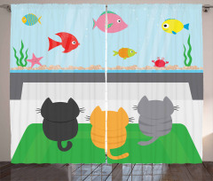 Cats Looking at Fishtank Curtain