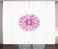 Purple Dahlia with Magenta Curtain