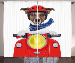 Puppy Pet Motorbike Curtain