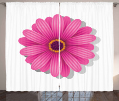 Gerbera Daisy Curtain