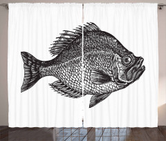 Rock Bass Black and White Curtain