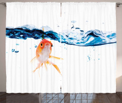 Goldfish Swimming in Water Curtain