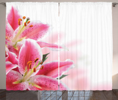 Lilies Bouquet Curtain