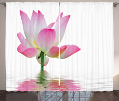 Lotus in Water Curtain