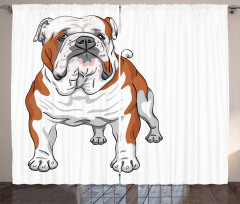 Muscular Dog Curtain