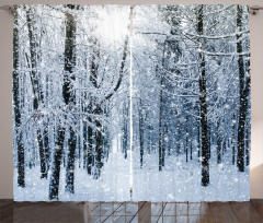Snow Covered Forest Curtain