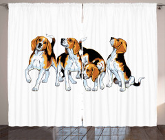 4 Beagle Hounds Play Curtain