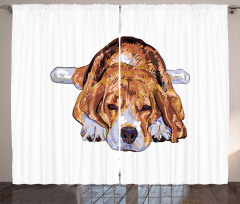 Old Dog Resting Sketch Curtain