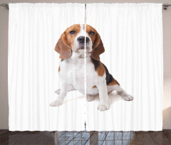 Puppy Dog Friend Posing Curtain