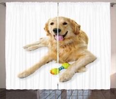 Pet Dog Toy Curtain