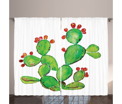 Ripe Prickly Pear Fruits Curtain