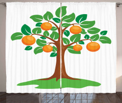 Orange Tree Design Curtain