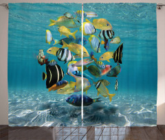Shoal of Fish Underwater Curtain