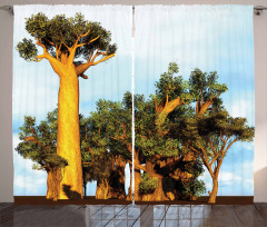 Tropical Baobabs Curtain