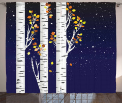 Birch Trees with Foliage Curtain