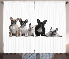 Young Doggies Photo Curtain