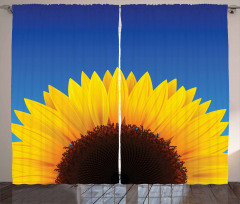 Sunflower Leaf Curtain