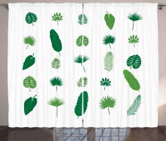 Tree Species Nature Curtain