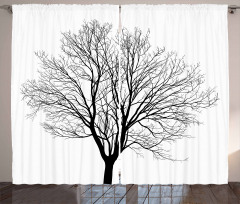 Barren Maple Tree Curtain