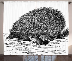European Hedgehog Curtain