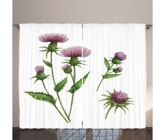 Healing Herbs Concept Curtain