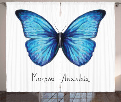Abstract Butterfly Curtain
