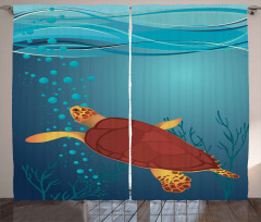 Underwater Composition Curtain
