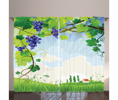 Rural Countryside Grapes Curtain