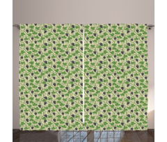 Viticulture Grapevines Curtain