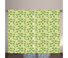 Medical Hop Plant Outdoors Curtain