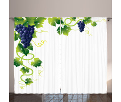 Weeping Vines Vineyard Curtain