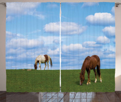 Horses Grazing Meadow Curtain