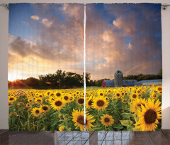 Sunflower Field Sky Curtain