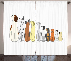 Dogs in a Row Looking Away Curtain
