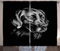 Sketch Art Retriever Puppy Curtain