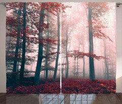 Autumn Fall Nature Woods Curtain