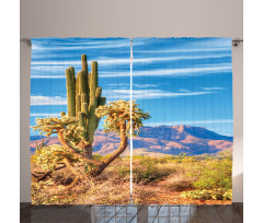 Landscape and Prickle Plant Curtain