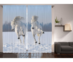 Purebred Horses Wild Curtain