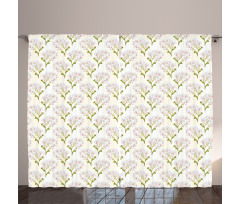 Phalaenopsis White Flowers Curtain