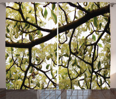 Close up Leafy Branches Photo Curtain