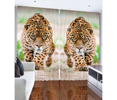 Jungle Fauna Predator Cat Curtain