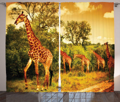 Safari Animals Curtain