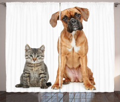 Cat Dog Animal Friends Curtain