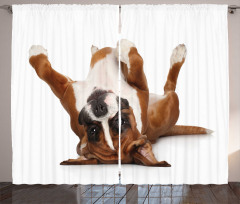 Funny Playful Puppy Image Curtain