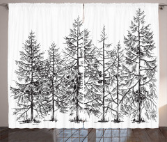 Seasonal Pine Tree Landscape Curtain