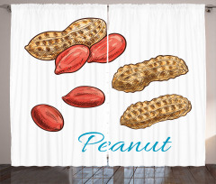 Peanut Sketch of Nut Curtain