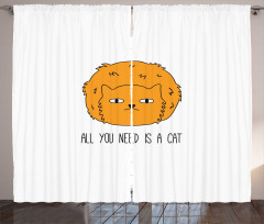 All You Need is a Cat Saying Curtain